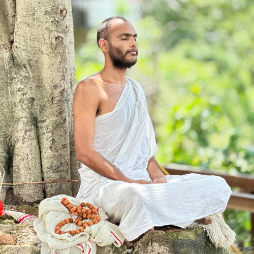 There are many variations of passages of available but majority have alteration